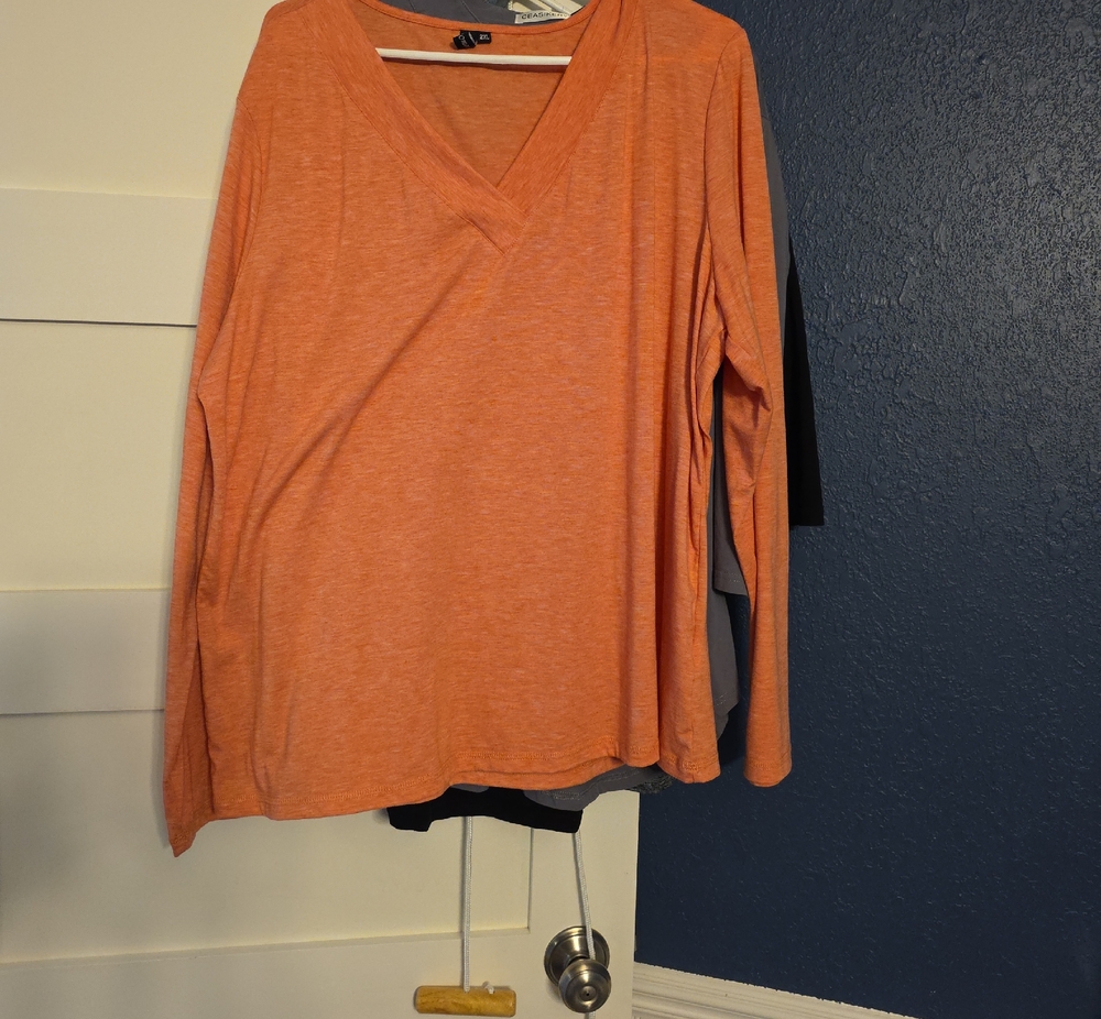 Long Sleeve V-Neck Top in Orange